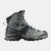 Picture of SALOMON QUEST 4 GTX W